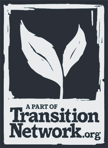 Logo di Transition Network